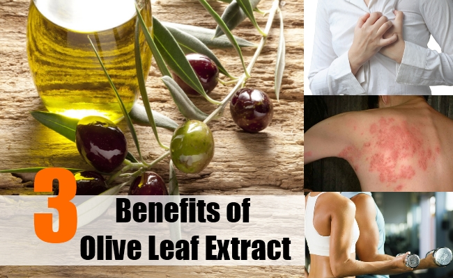 3 Amazing Benefits Of Olive Leaf Extract Search Home Remedy