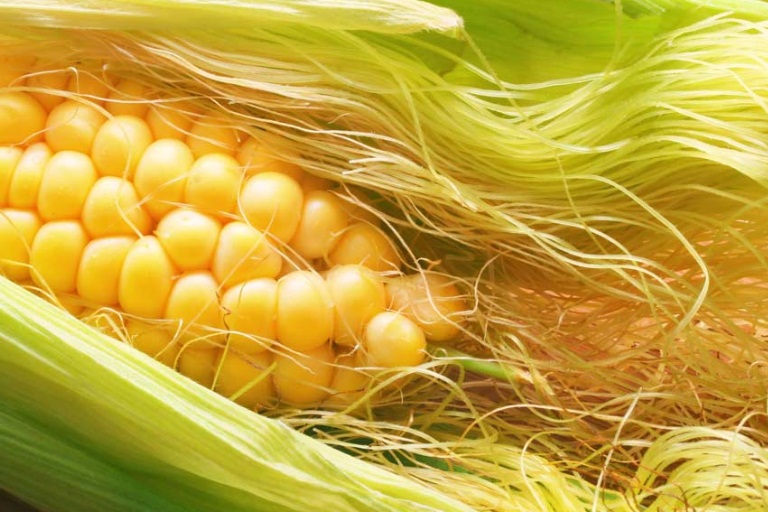 9 Amazing Benefits Of Corn Silk Search Home Remedy 9872